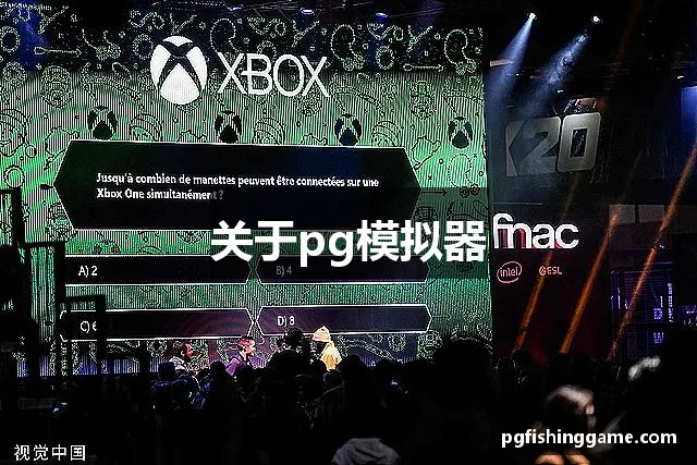 关于pg模拟器